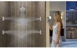 Moen S6310 One-Function 7-Inch Rainshower Showerhead with Immersion Technology, Chrome